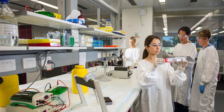 Microscopic Bacteria Analysis