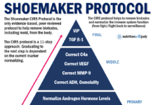 Chronic Inflammatory Response Syndrome (CIRS) Dr Ritchie Shoemaker Md, Usa cirs treatment protocol