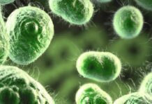 What’s Lurking In Your Environment Cyanobacteria