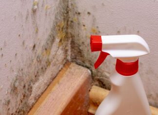 Mould, Bacteria And Improper Cleaning And Maintenance Improper Cleaning and Maintenance and mould