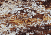 Mould, Bacteria And Improper Storage Of Firewood Improper Storage of Firewood and mould