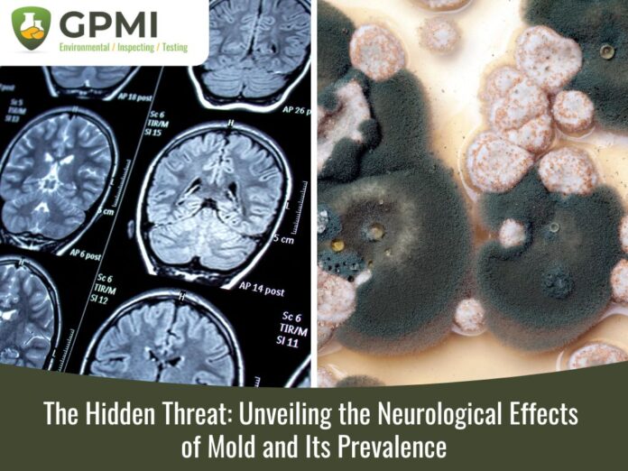 Mould Exposure and Alzheimers