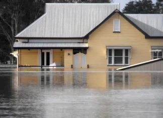 Mould, Bacteria And Natural Disasters Natural Disasters and mould