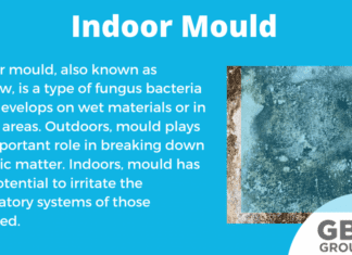 Mould, Bacteria And Organic Matter Organic Matter and Mould