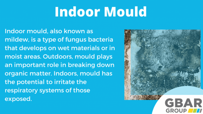 Organic Matter and Mould Organic Matter and Mould
