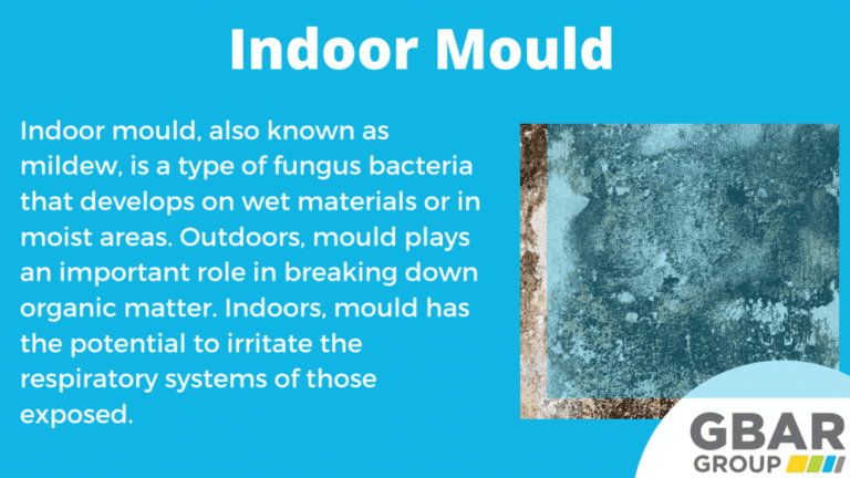 Mould, Bacteria And Organic Matter Mould, Bacteria And Organic Matter