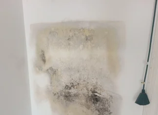 Mould, Bacteria And Refrigerator Leaks Refrigerator Leaks