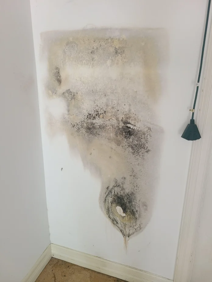 Refrigerator Leaks Refrigerator Leaks