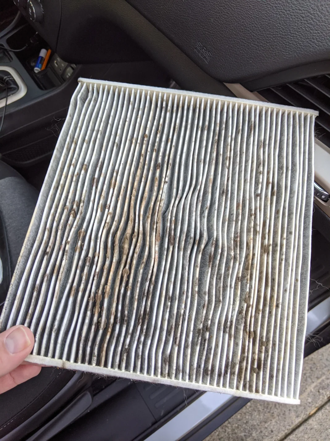 air cleaner filter mould