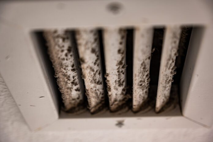 hvac and mould