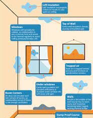 Mould, Bacteria And Poor Ventilation poor ventilation and mould