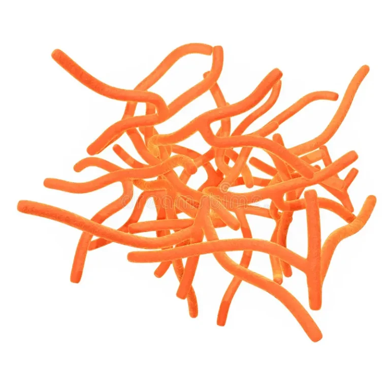 Actinobacteria: Nature’s Versatile Microorganisms Actinobacteria: Nature’s Versatile Microorganisms