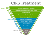 CIRS Supplement Guide CIRS Supplement Guide