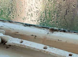 Condensation Can Cause Mould, Bacteria Condensation Can Cause Mould