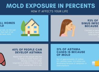 Mould and Bacteria Health Risks Mould Health Risks