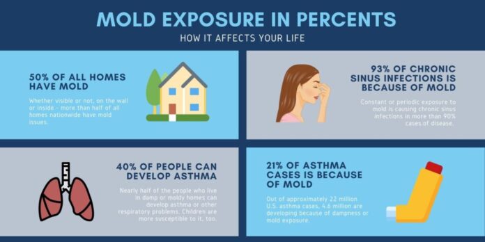 Mould Health Risks Mould Health Risks