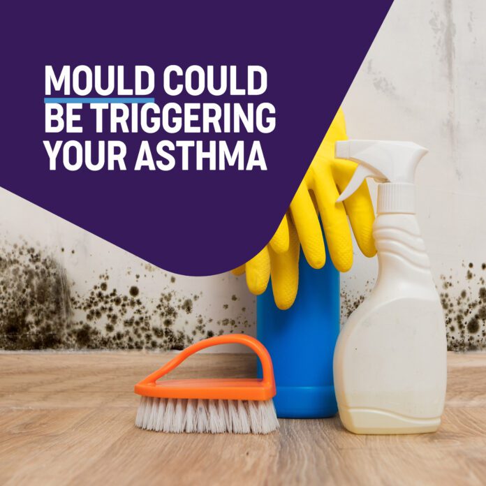 Mould and Asthma Attacks Mould and Asthma Attacks