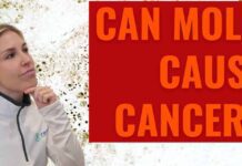 Mould, Bacteria And Cancer Risk Mould and Cancer Risk
