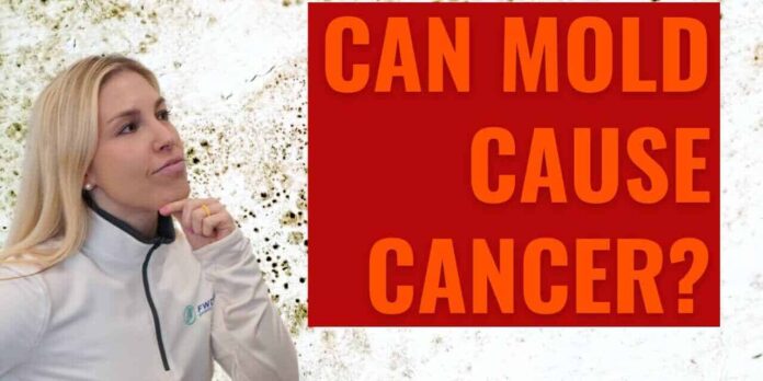 Mould and Cancer Risk Mould and Cancer Risk
