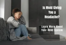 Mould, Bacteria And Headaches Mould and Headaches