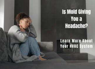 Mould, Bacteria And Headaches Mould and Headaches