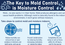 Mould, Bacteria And Indoor Air Mould and Indoor Air