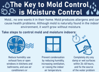 Mould, Bacteria And Indoor Air Mould and Indoor Air