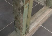 Mould, Bacteria And Construction Activities Mould from Construction Activities