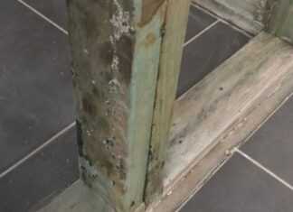 Mould, Bacteria And Construction Activities Mould from Construction Activities