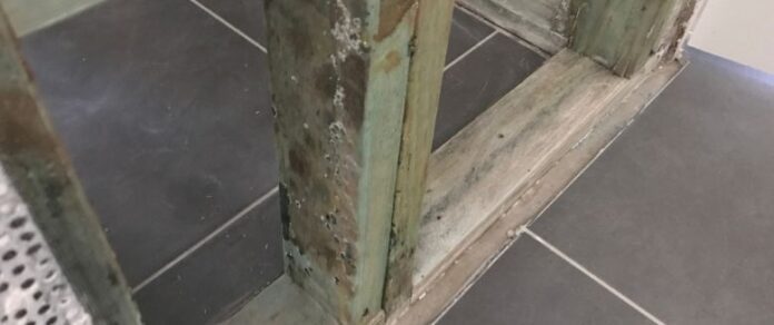 Mould from Construction Activities Mould from Construction Activities