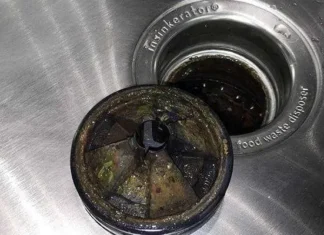 Mould, Bacteria And Garbage Disposals Mouldy Garbage Disposals