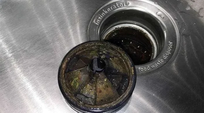 Mouldy Garbage Disposals Mouldy Garbage Disposals