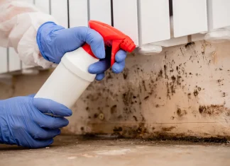 CIRS Cleaning Tips cirs cleaning tips