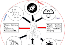Environmental Endotoxins, Neuroinflammation, and Long-Term Vulnerability types of Environmental Endotoxins