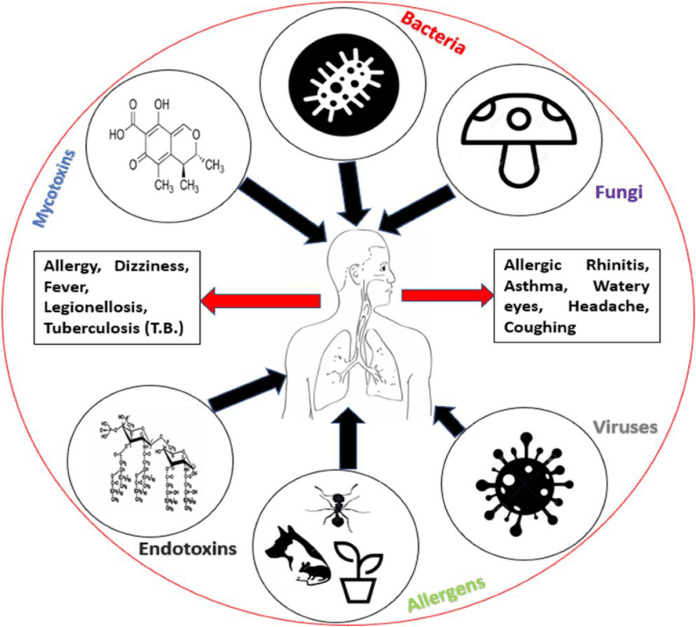 types of Environmental Endotoxins types of Environmental Endotoxins