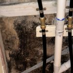 mould behind sink