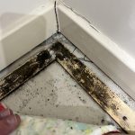 smoothedge or tackstrip mould