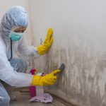 woman cleaning mould